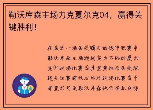 勒沃库森主场力克夏尔克04，赢得关键胜利！