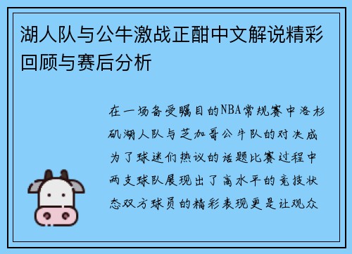 湖人队与公牛激战正酣中文解说精彩回顾与赛后分析