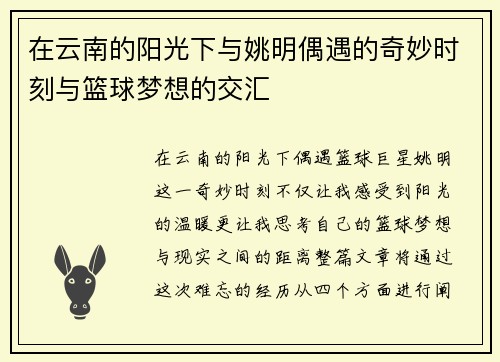 在云南的阳光下与姚明偶遇的奇妙时刻与篮球梦想的交汇